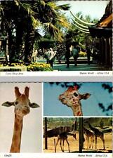 2~4X6 Postcards CA Redwood City MARINE WORLD AFRICA USA PARK Entrance~Giraffes picture