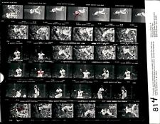 LD323 1981 Orig Contact Sheet Photo KIRK GIBSON ALAN TRAMMELL TIGERS - INDIANS picture