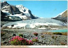 Postcard - Athabasca Glacier - Jasper National Park, Alberta, Canada picture