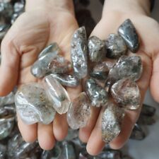 70Pcs 1kg Natural Phantom Ghost Clear Quartz Crystal Stone Tumble Healing Brazil picture