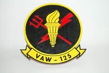 VAW-125 Torch Bearers Plaque, 14