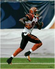 Chad Johnson Cincinnati Bengals 8x10 Football Photo  picture