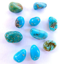 RARE 10 Campo Frio Mexico Turquoise specimen Natural Nugget LOT Rock Lapidary NR picture