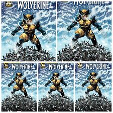 5 Pack Wolverine #1 Main Cover A Coccolo PRESALE 9/11 Marvel 2024 picture