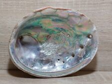 Vintage 8” Abalone Shell Rainbow Excellent Condition picture