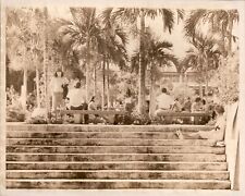 LG4 1969 Original Photo MIAMI FLORIDA PARK SITE OF ANTI-WAR PROTEST PALM TREES picture