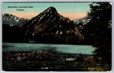Beautiful Aneroid Lake Oregon Ore Postcard VTG picture