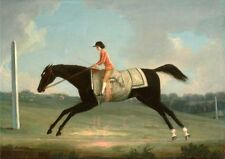 Classical oil painting child riding black horse running in landscape hand paint picture