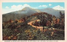 Asheville NC Mt Mount Mitchell Blue Ridge Parkway Yancey County Vtg Postcard C16 picture
