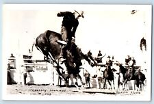Calgary Canada Postcard RPPC Photo Stampede Rodeo Rosstiss c1910's Antique picture