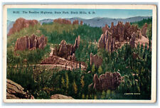 1930 The Needles Highway State Park Black Hills South Dakota SD Postcard picture