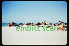 Original Slide, Wreckage of WWII Aircraft on Midway Atoll 1950s, B picture