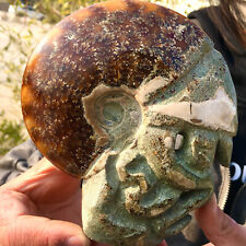 1.15LB  Rare Natural Tentacle Ammonite FossilSpecimen Shell Healing Madagascar picture