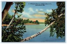 c1950's Wilson's Point on Indian Lake Adirondack Mts. New York NY Postcard picture