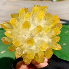 308G New find yellow phantom quartz crystal cluster mineral sample picture
