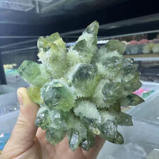1.08lb  New Find Green Phantom Quartz Crystal Cluster Mineral Specimen Gem picture