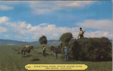 Seligman Arizona Greetings from White Horse Cafe horses rider bales E492 picture
