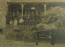 Original C. 1900 African American Family Homestead Photograph w/ Horse & Buggy picture