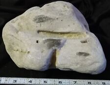 Native American Paleo Indian Artifact Large Incised Anvil Story Rock ? Unique... picture