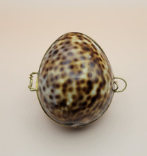 Leopard Print Cowry Sea Shell Brass Hinged Jewelry Trinket Box picture