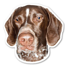 German Shorthaired Pointer Magnet picture