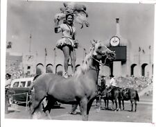 LD327 Original Photo LOS ANGELES COLISEUM RODEO ENTERTAINER STANDING HORSEBACK picture