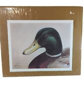 Vtg Wildlife Mallord Duck  Print Artist Tim Pafford Signed 1986 Unframed 12x9.5 picture