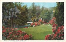 Charleston SC South Carolina, Magnolia Gardens, Vintage Postcard picture