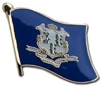 Connecticut Flag Lapel Hat Pin FAST USA SHIPPING picture
