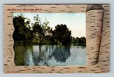 Wayland MI, Scenic Greeting, c1910 Michigan Vintage Postcard picture