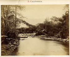 Vintage California Arroyo Seco River Albumen Print 20x25 Albumin Print  picture