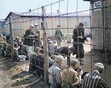 1945 German Prison Camp AUSCHWITZ  Color TINTED PHOTO  (201-D) picture