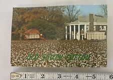 Vintage “Old South Cotton” Postcard- Real Cotton attached- Leland, Mississippi picture