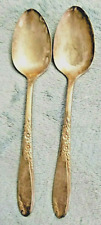 Wm A Rogers Oneida Country Lane Sectional Silverware Teaspoons (2) picture