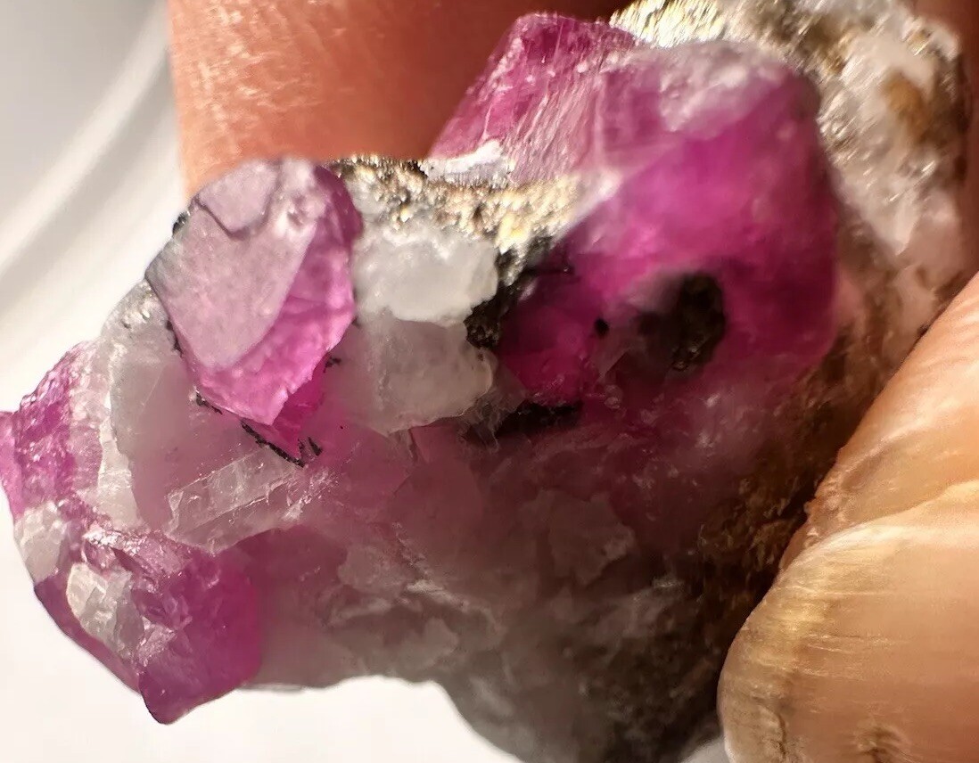 59.ct/top Robin Crystal Gorgeous Colour. Aus AFG 59.ct/top Robin Crystal Gorgeous Colour. Aus AFG