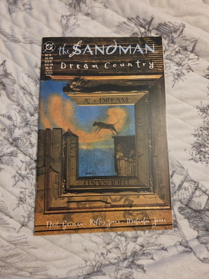 SANDMAN #18 DREAM COUNTRY DC COMICS 1990 GAIMAN Cat on Cover Vertigo SANDMAN #18 DREAM COUNTRY DC COMICS 1990 GAIMAN Cat on Cover Vertigo