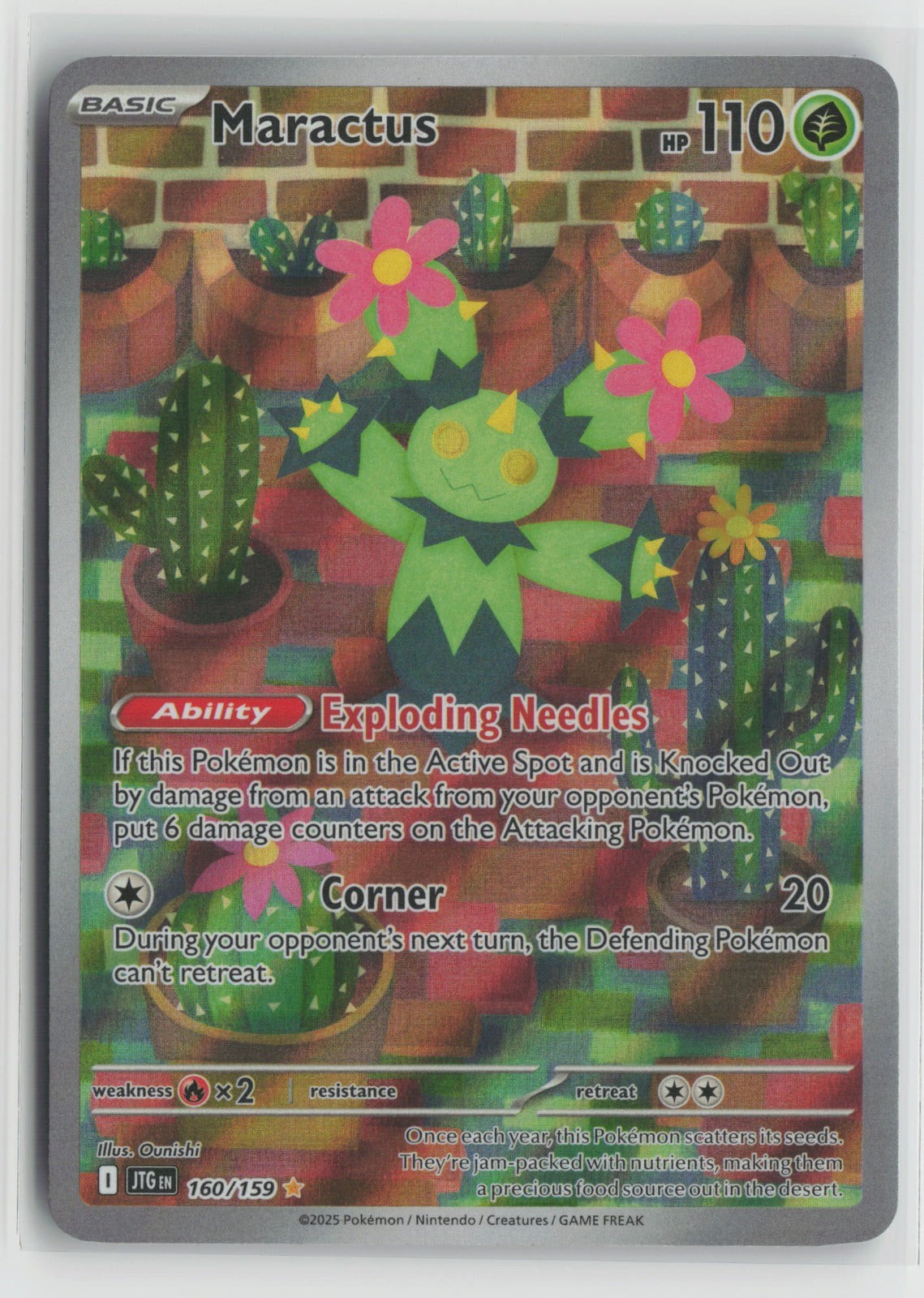 Maractus Illustration Rare Holo JTG 160/159 NM Maractus Illustration Rare Holo JTG 160/159 NM