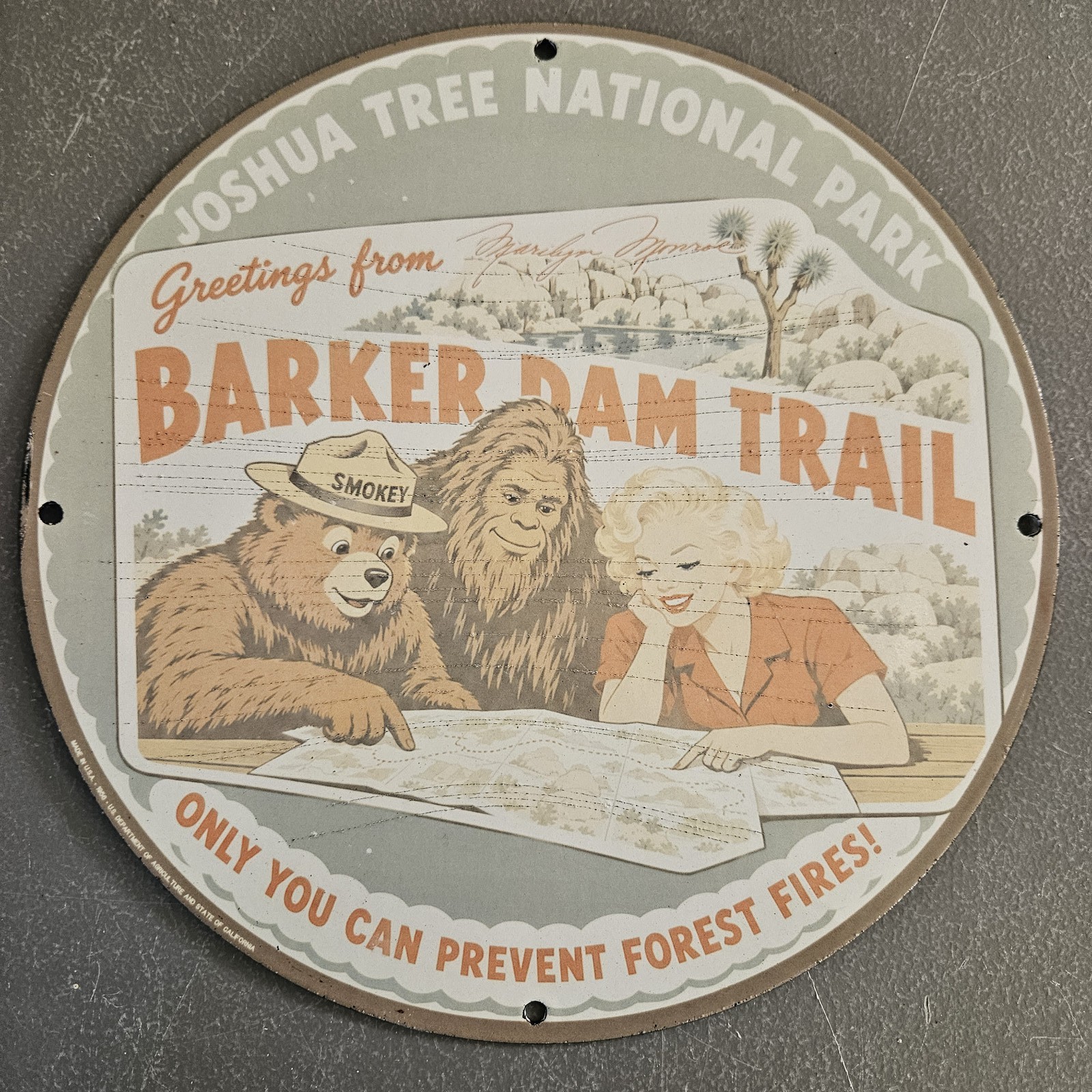 VINTAGE GREETINGS FROM BARKER DAM TRAIL JOSHUA TREE 12