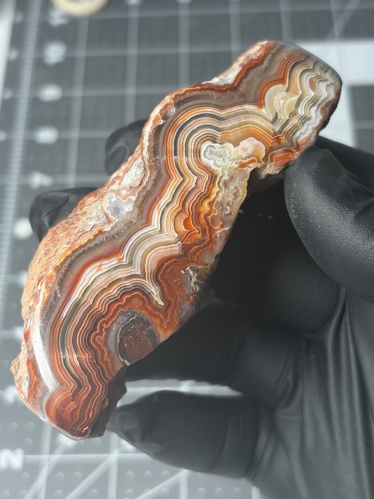 Stunning Laguna Lace Agate Face Polished Excellent Banding Colorful Stunning Laguna Lace Agate Face Polished Excellent Banding Colorful