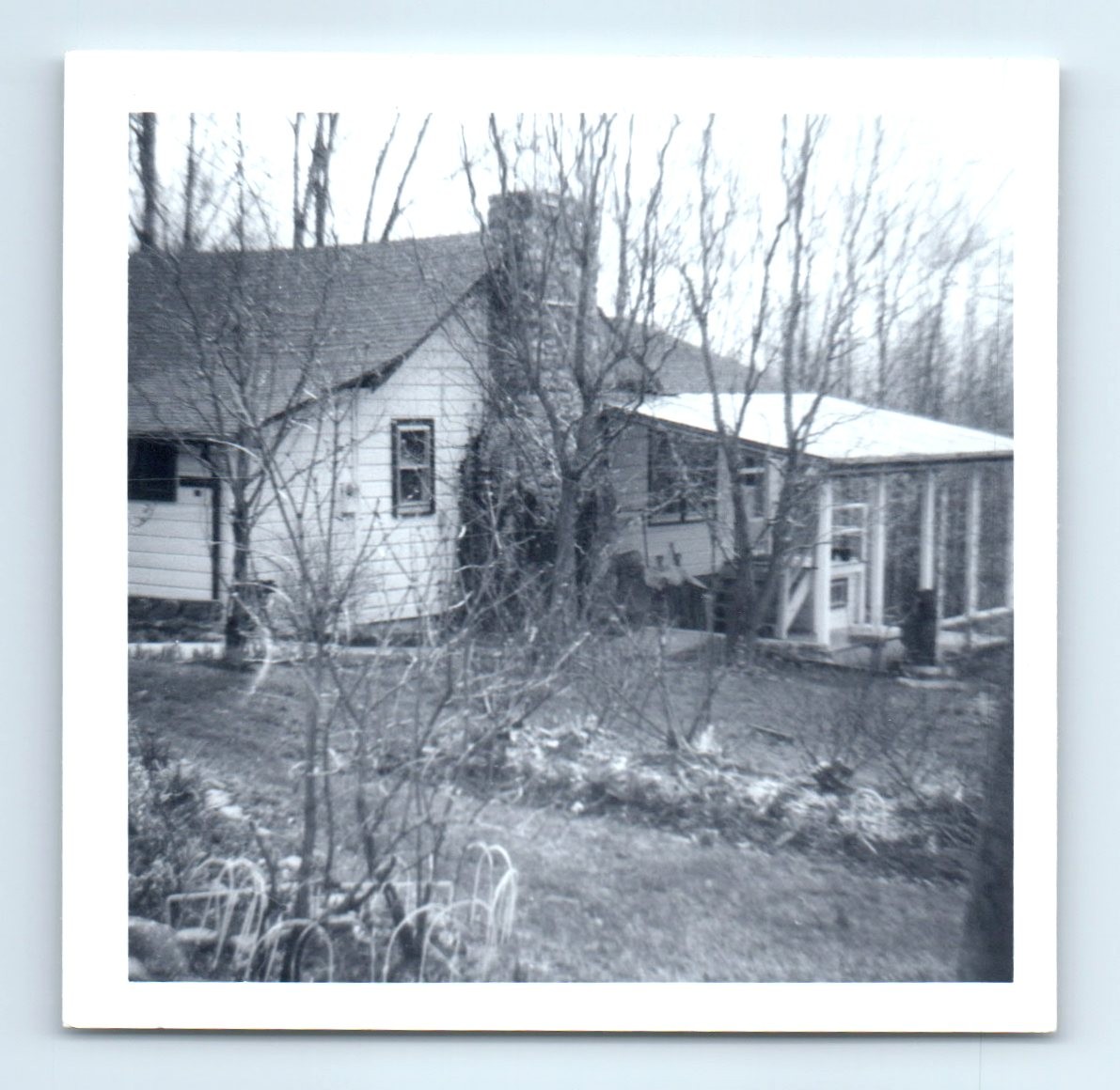 Old Vintage Square Photo HOUSE TREES AND YARD SNAPSHOT PHOTOGRAPH PICTURE