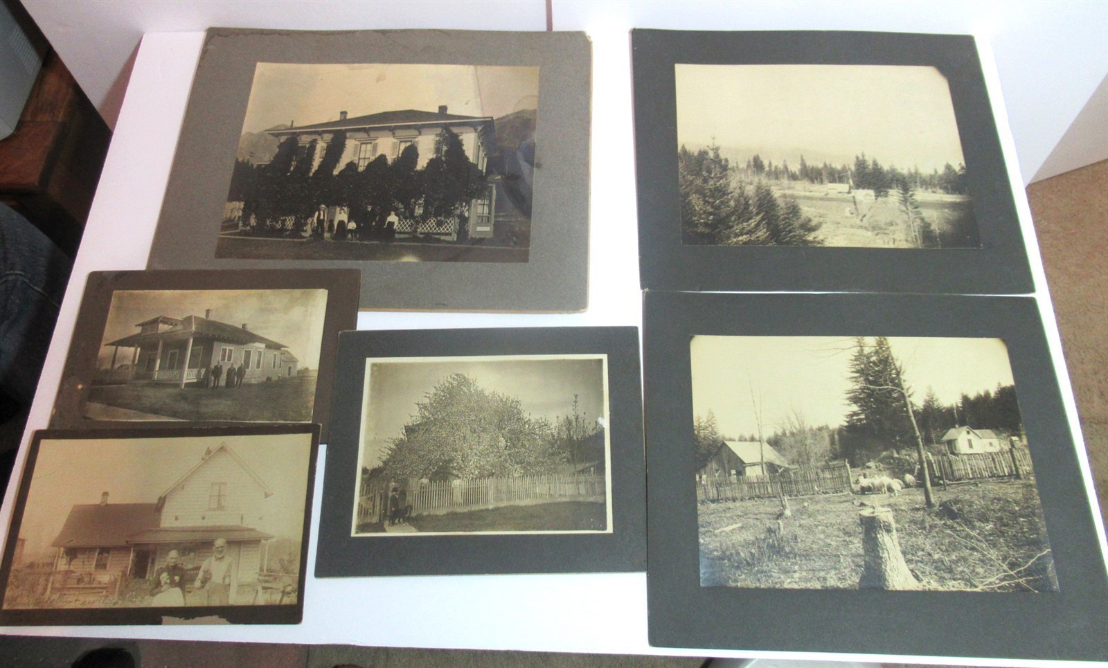 Lot 6 Early 1900s Mounted Photo 8\