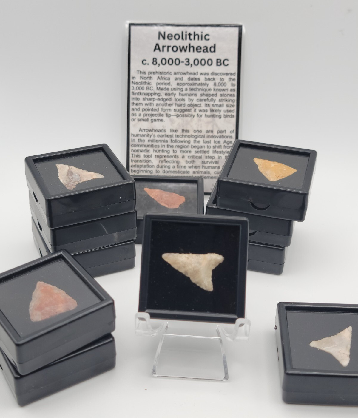 1 One Random Neolithic Arrowhead 8,000–3,000 BC w/ Display Case & History Card 1 One Random Neolithic Arrowhead 8,000–3,000 BC w/ Display Case & History Card