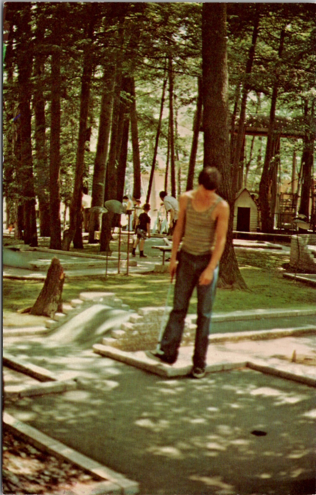 Elysburg Pennsylvania Knobels Grove Amusement Resort Miniature Golf Postcard Z12 Elysburg Pennsylvania Knobels Grove Amusement Resort Miniature Golf Postcard Z12