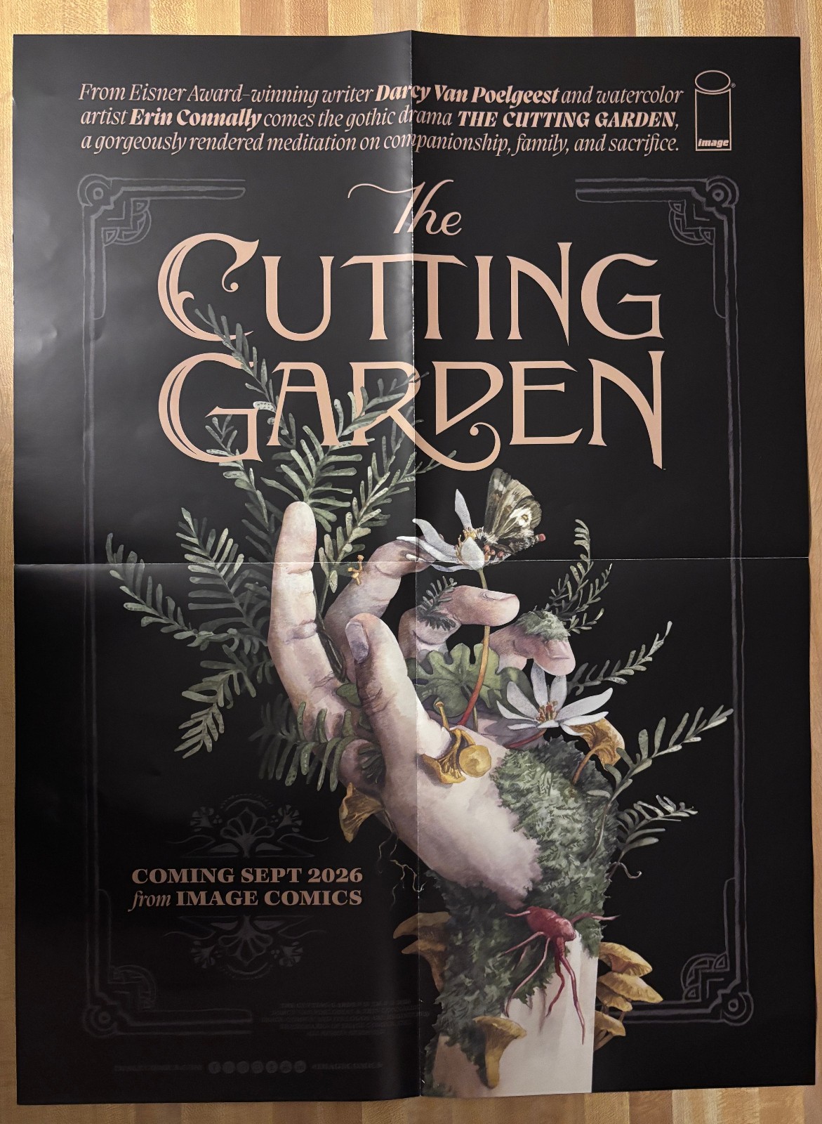 The Cutting Garden And If Destruction Be Our Lot Promo Poster Two-Sided 18x24 The Cutting Garden And If Destruction Be Our Lot Promo Poster Two-Sided 18x24