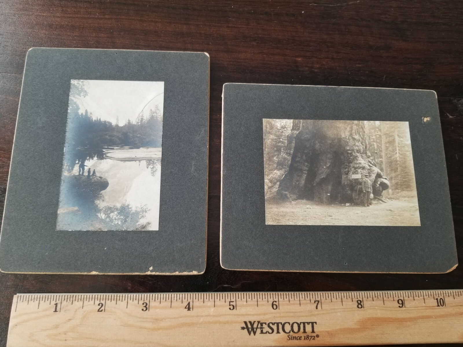 2 c 1905 Yosemite Park California Grizzly Giant& Mirror Lake Cabinet Photographs 2 c 1905 Yosemite Park California Grizzly Giant& Mirror Lake Cabinet Photographs