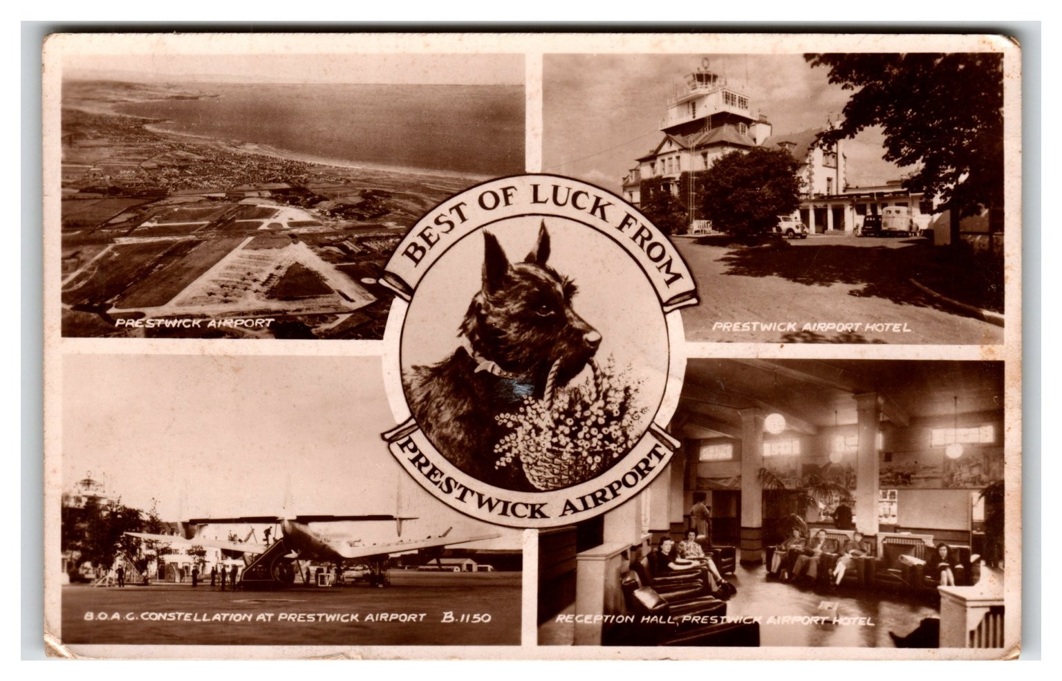 Prestwick Airport Multi-View Postcard 1952 BOAC Constellation Scottish Terrier