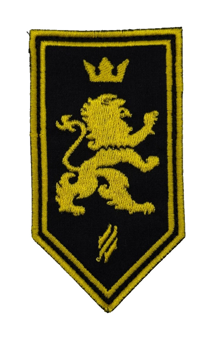 Ukraine Halychyna Lion Crown Shield Heritage Militaria Embroidered Patch Badge