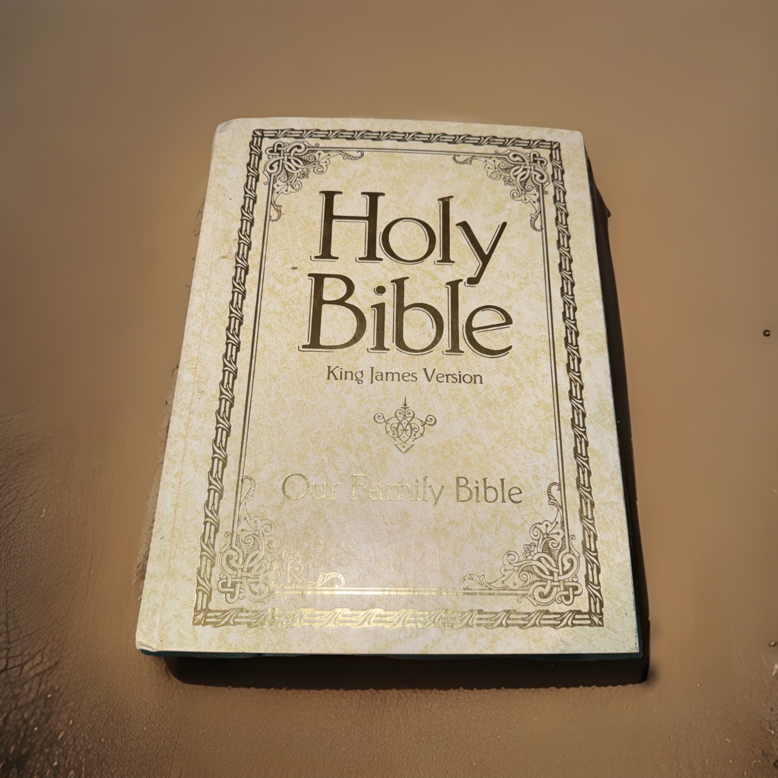 Vtg 1971 Holy Bible Large Family KJV Red Letter Edition No Writing Inside Vtg 1971 Holy Bible Large Family KJV Red Letter Edition No Writing Inside