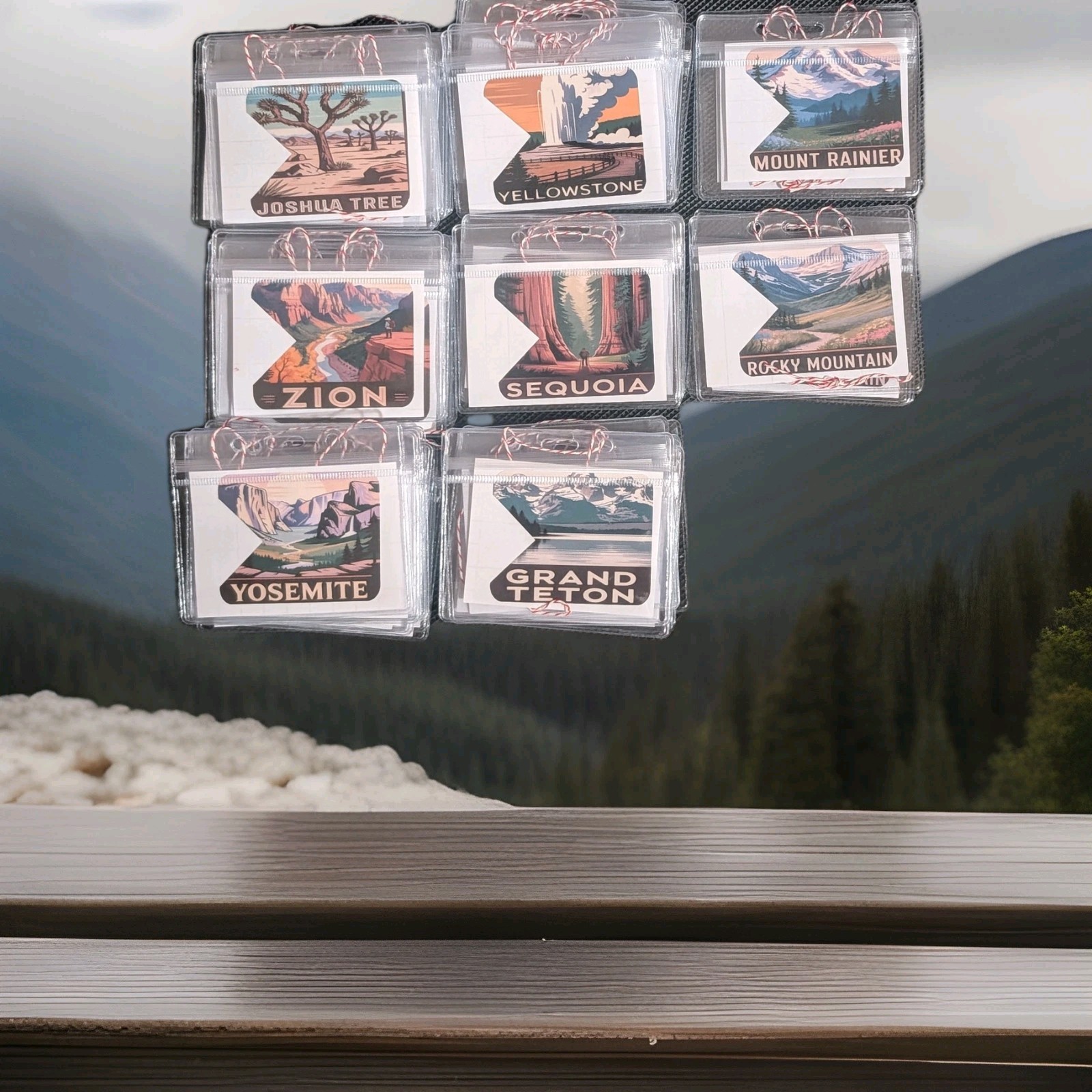 National Parks, America the Beautiful Card Holder