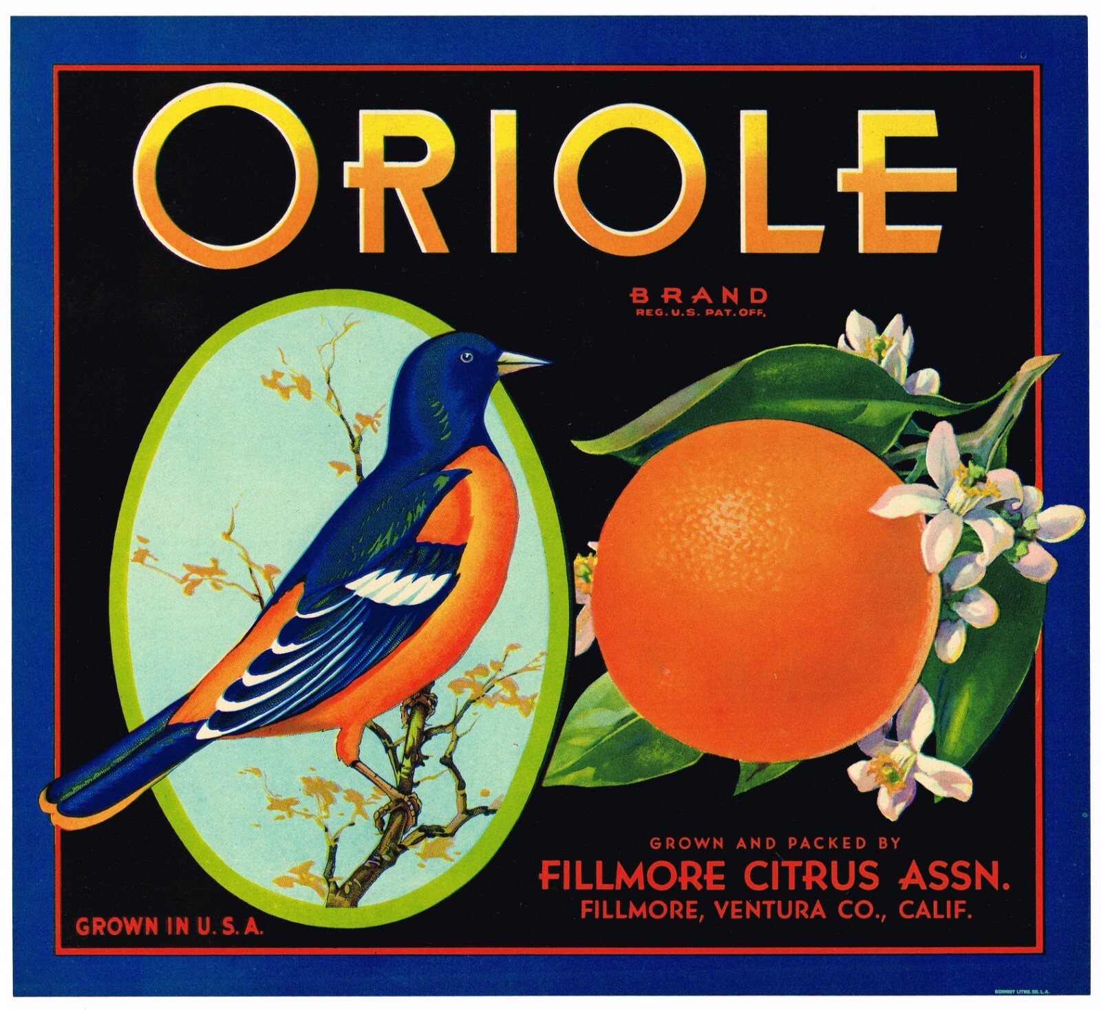 ORIGINAL 1930S ORIOLE ORANGE CRATE LABEL FILLMORE VENTURA BIRD VINTAGE MINT ORIGINAL 1930S ORIOLE ORANGE CRATE LABEL FILLMORE VENTURA BIRD VINTAGE MINT